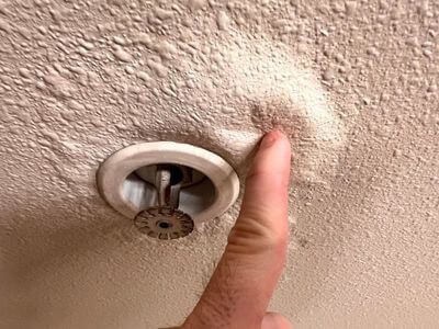 About RiseMoss - water damage restoration experts in Lexington